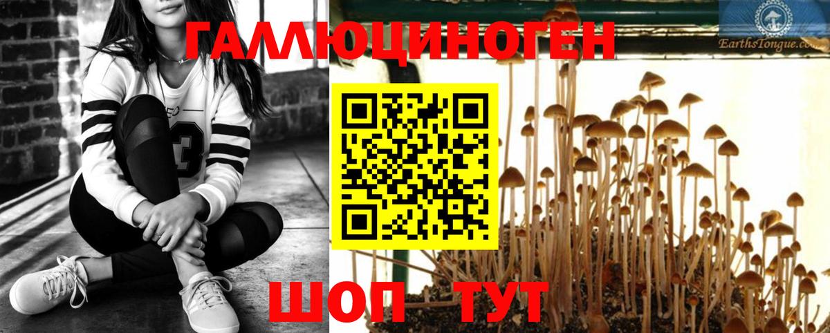 Красноперекопск  Псилоцибиновые грибы прущие грибы  как найти   Вход с VPN 